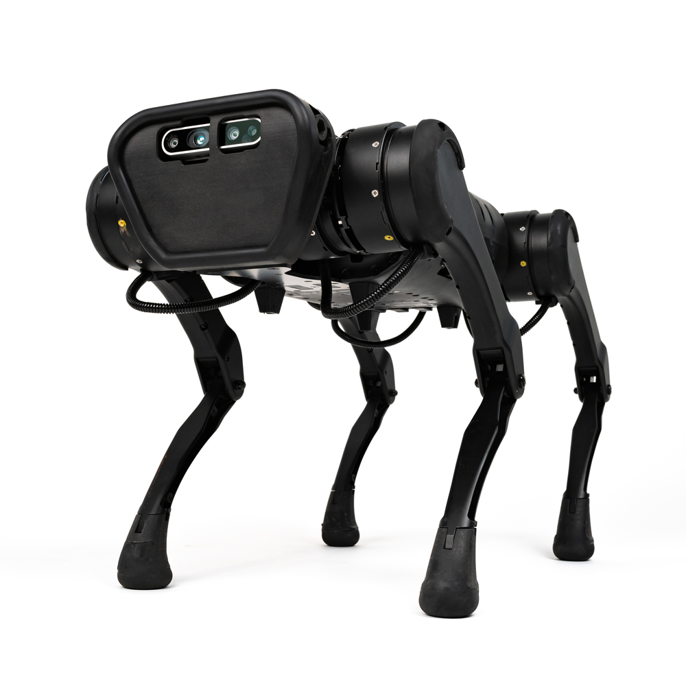 Unitree A1 robot dog