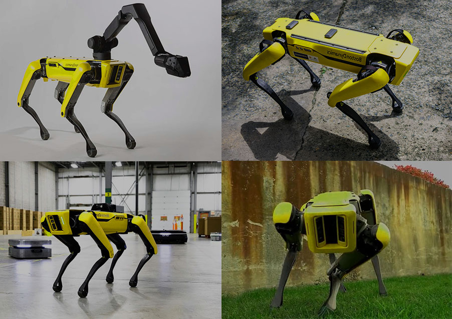 Boston Dynamics Dogs