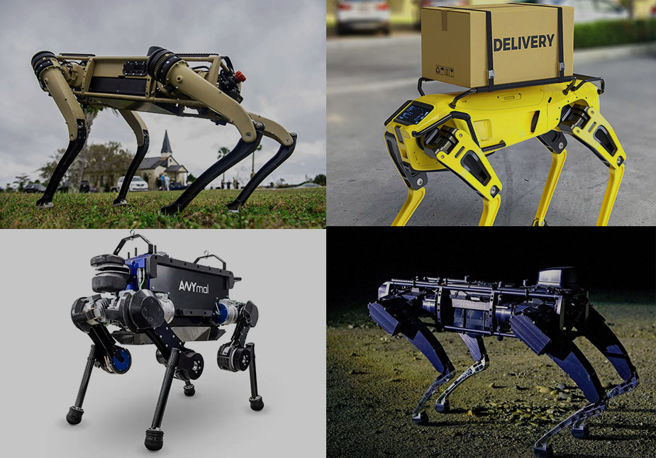 Discerning Contrasts Among Robot Dogs