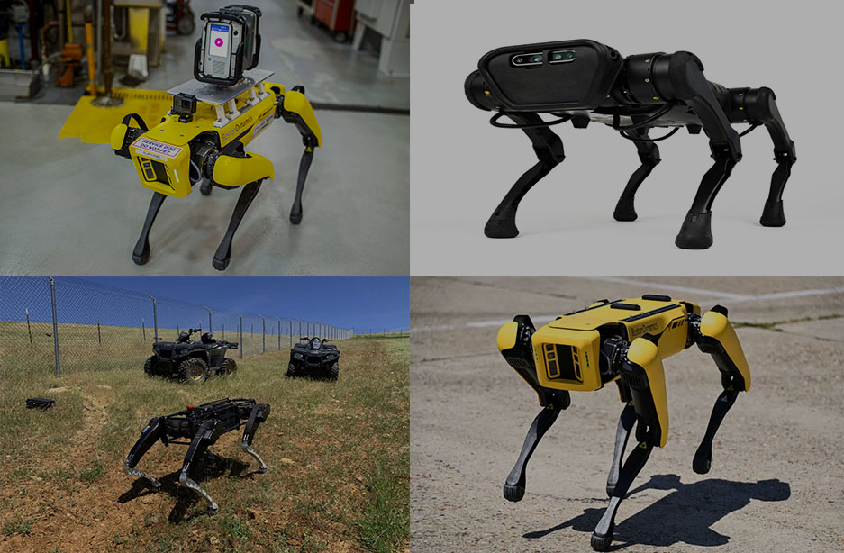 Robot Dogs